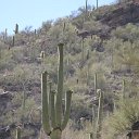 arizona from kells camera - IMG_2963